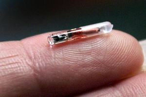 Microchip